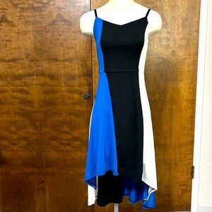 Fu. Gui. Xing. Block Dress